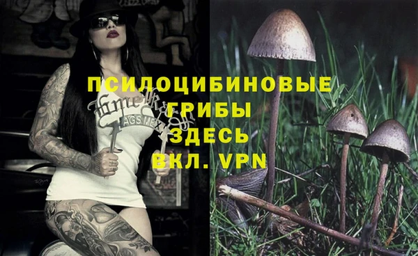 винт Арсеньев