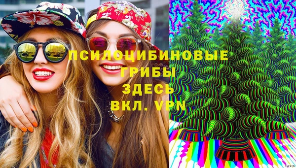 винт Арсеньев